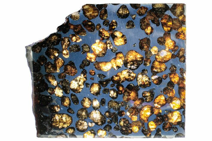 Polished Sericho Pallasite Meteorite ( g) Slice - Kenya #313707
